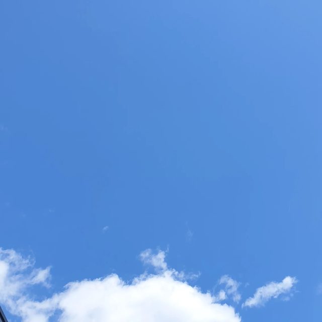은지