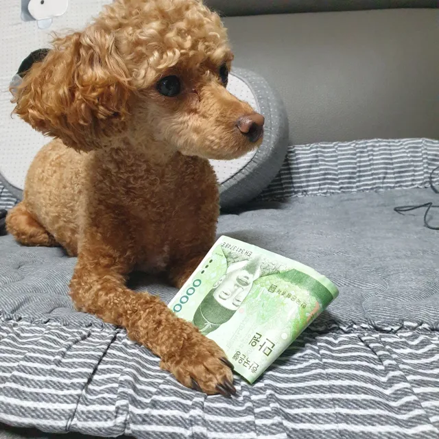 토토미짱맘