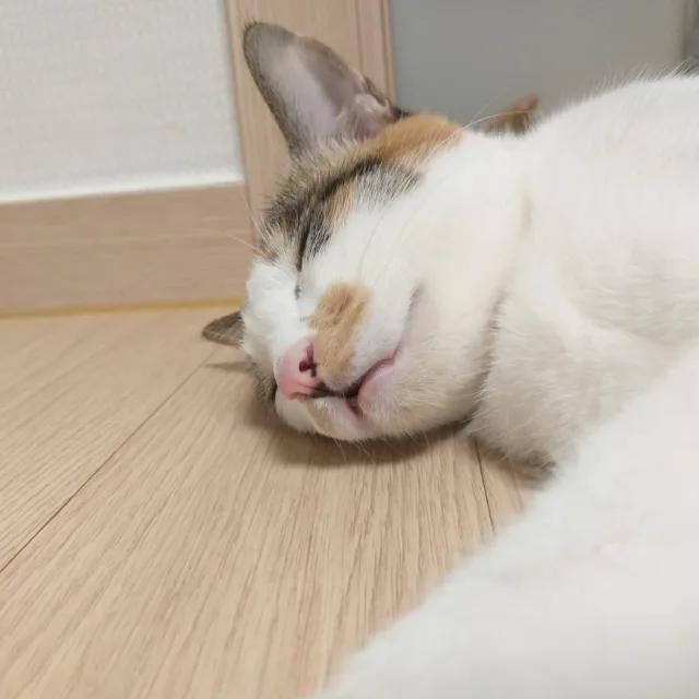 묘아나
