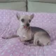 육감적인입술