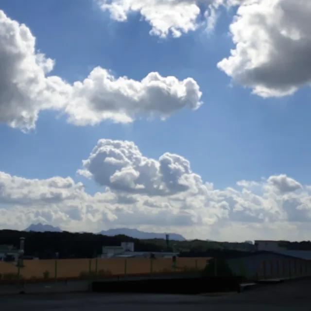 데나