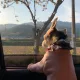 천사