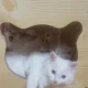 토미와제리