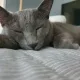 준아결맘