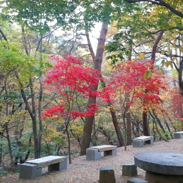 아낙네