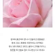 썬2