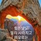 전설적태양