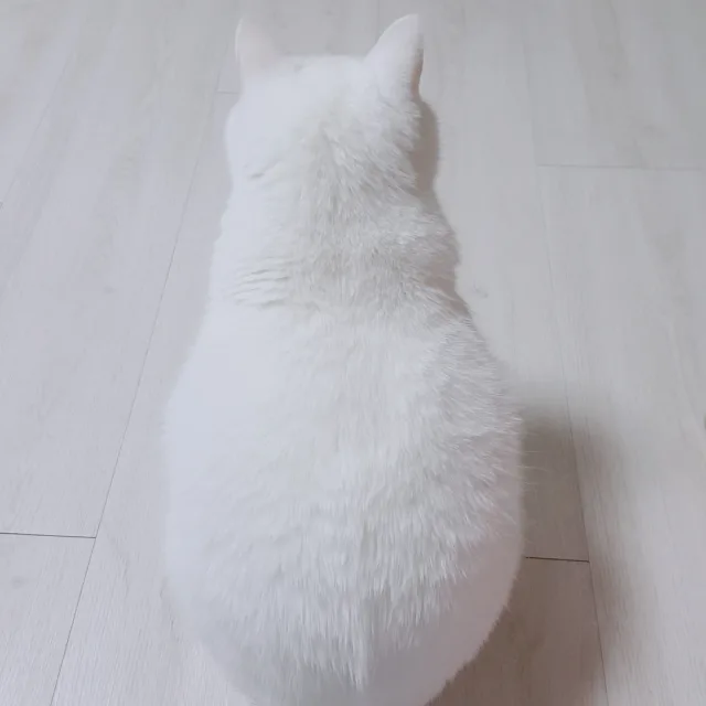 쁘레따뽀르떼