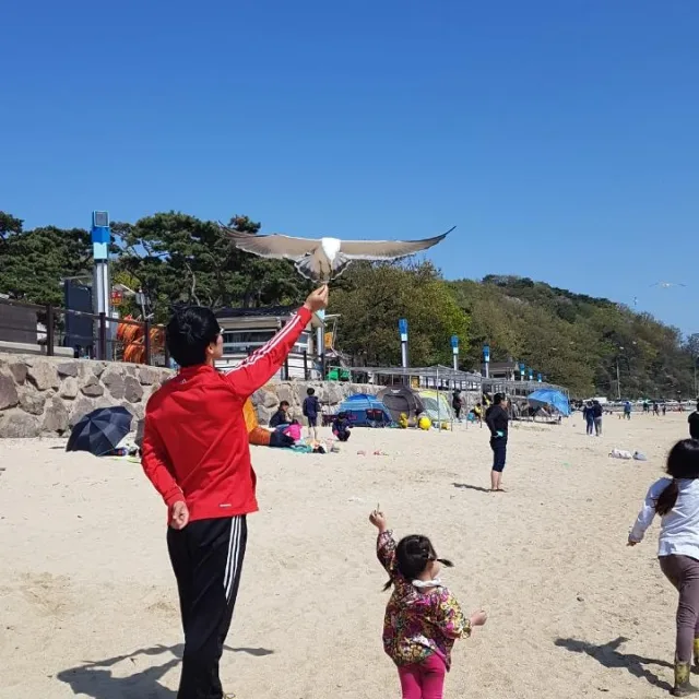 4둥이아빠