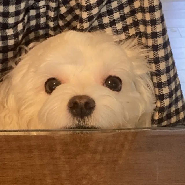 윤초