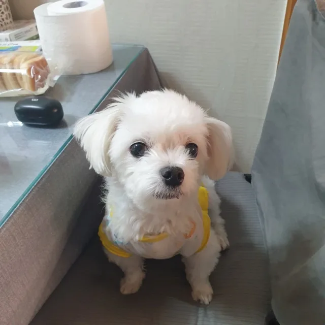 날라리