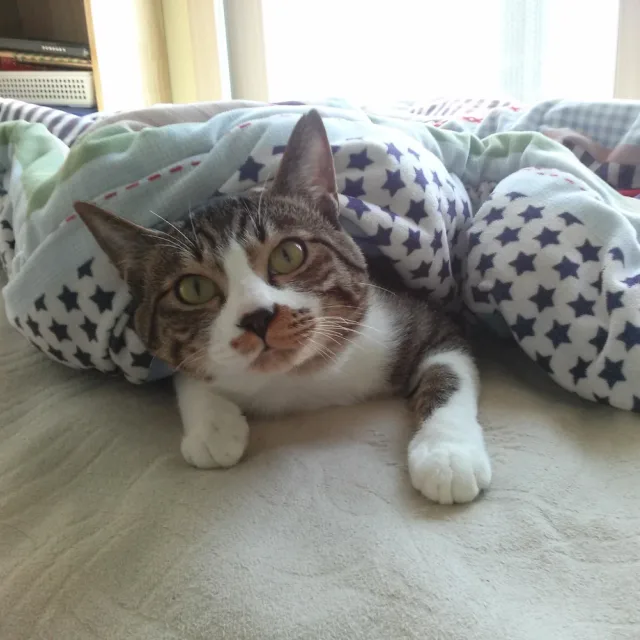 기찬