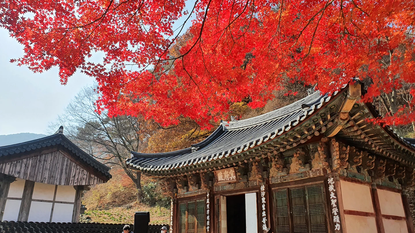 씨제이