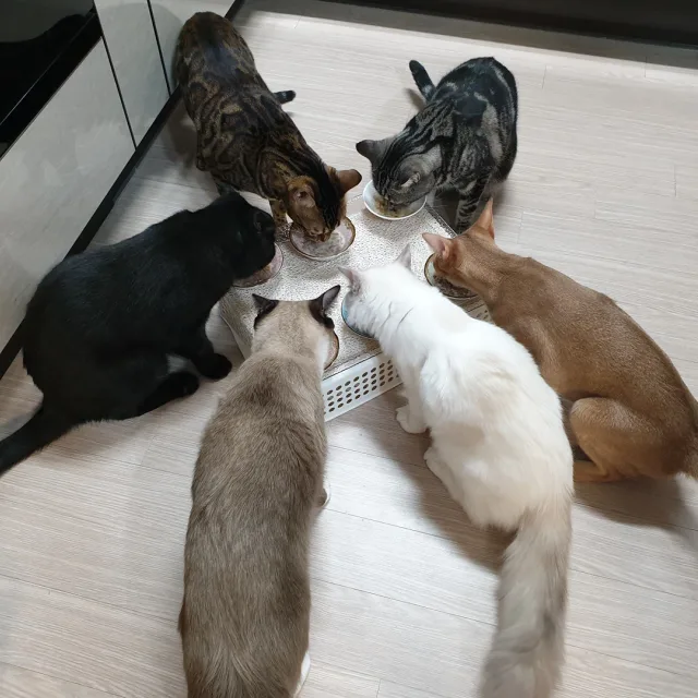 바나기