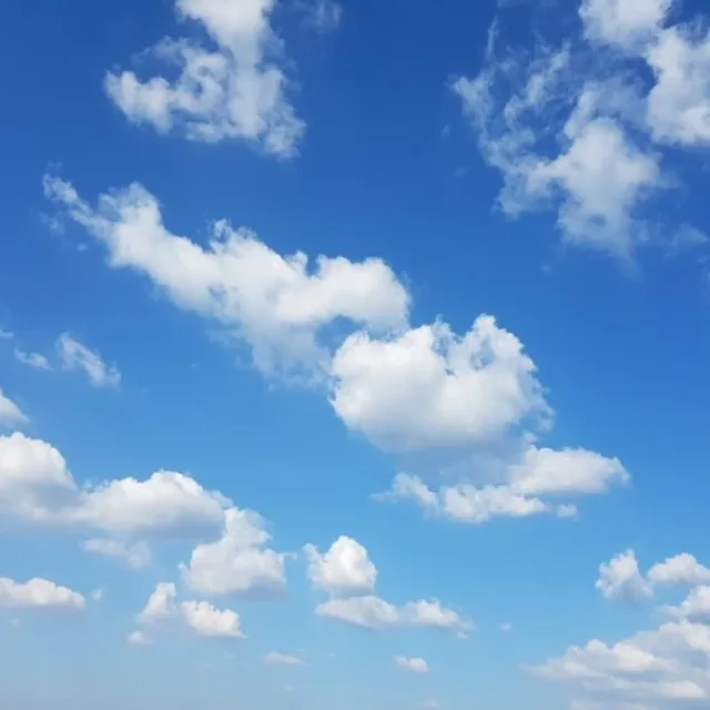 여유로운삶