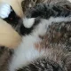 양선생