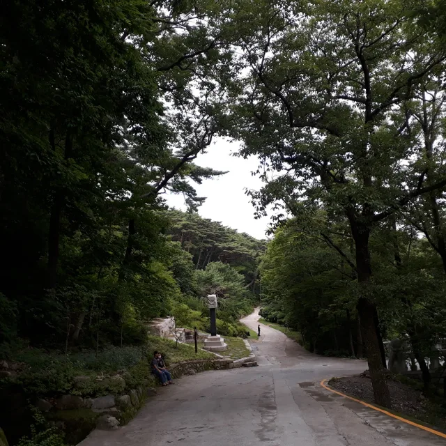 시원한바람