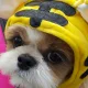 뭉치