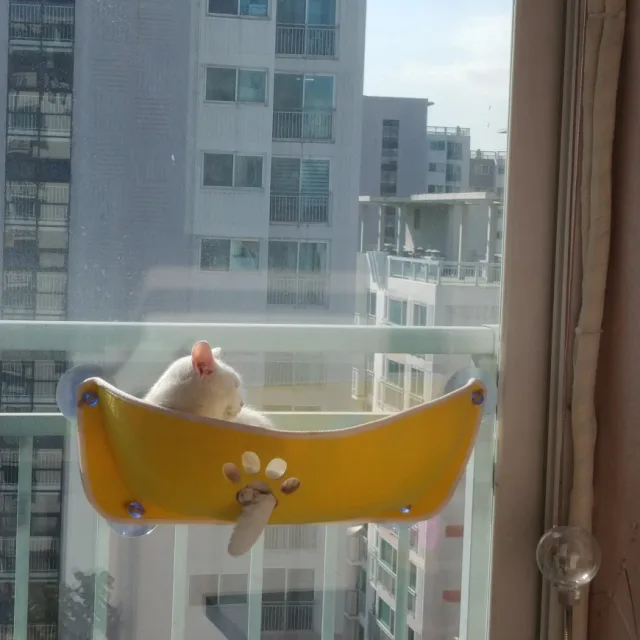 설기엄마