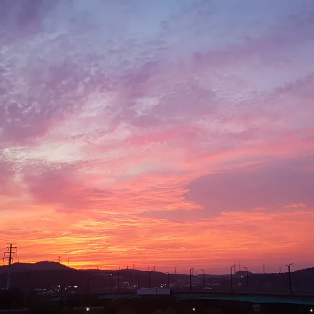 홀릭