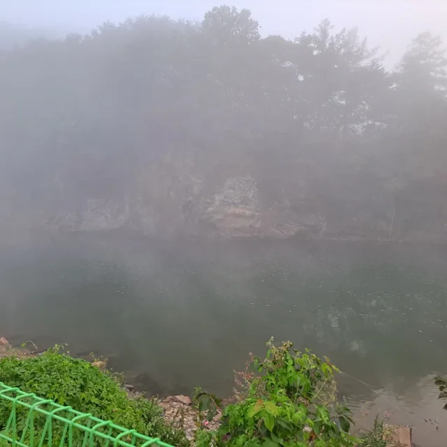 당근이죠