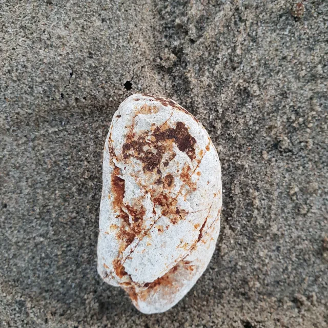 써니