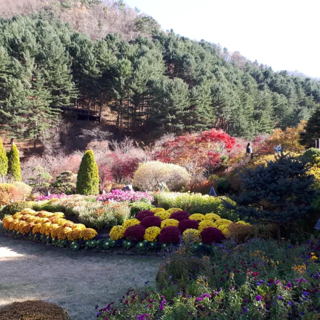 쑤기