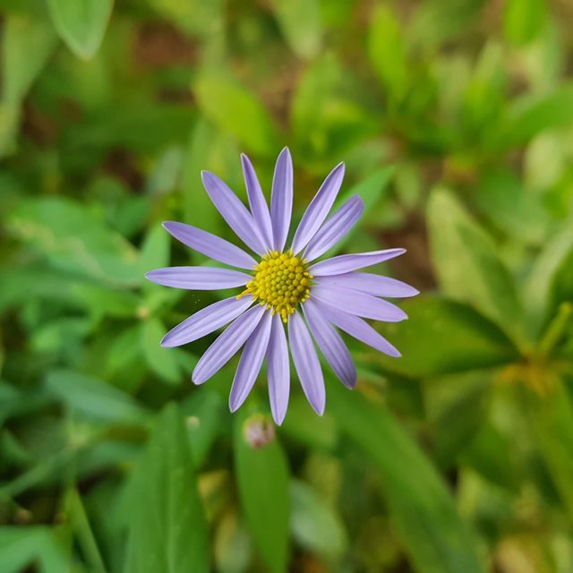 리뷰 프로필 이미지