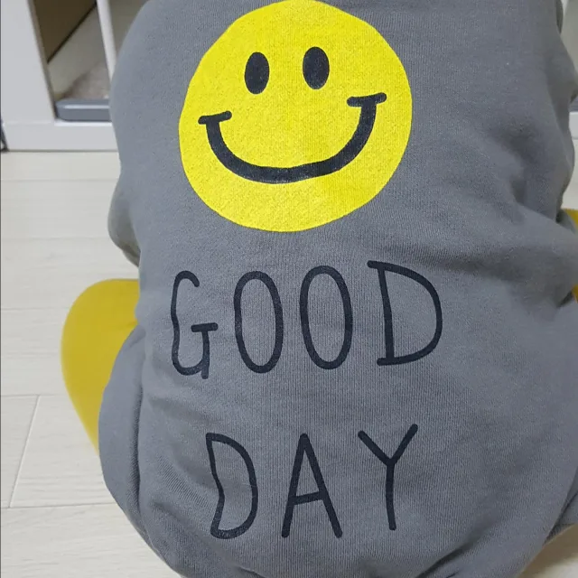 profile