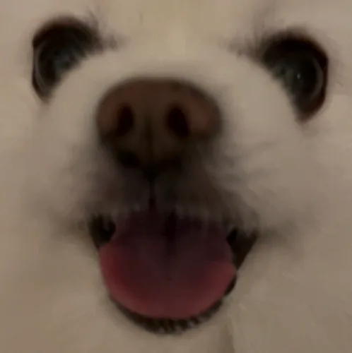 yeong