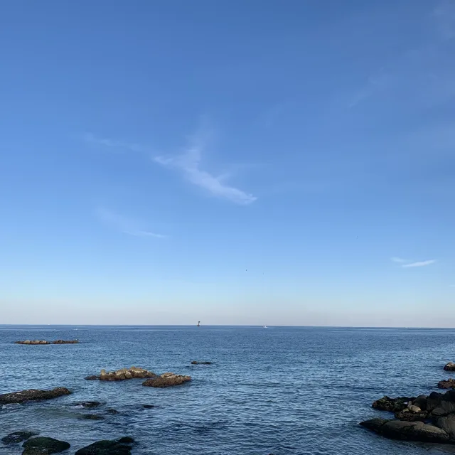 따뜻한마음