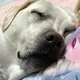 방울
