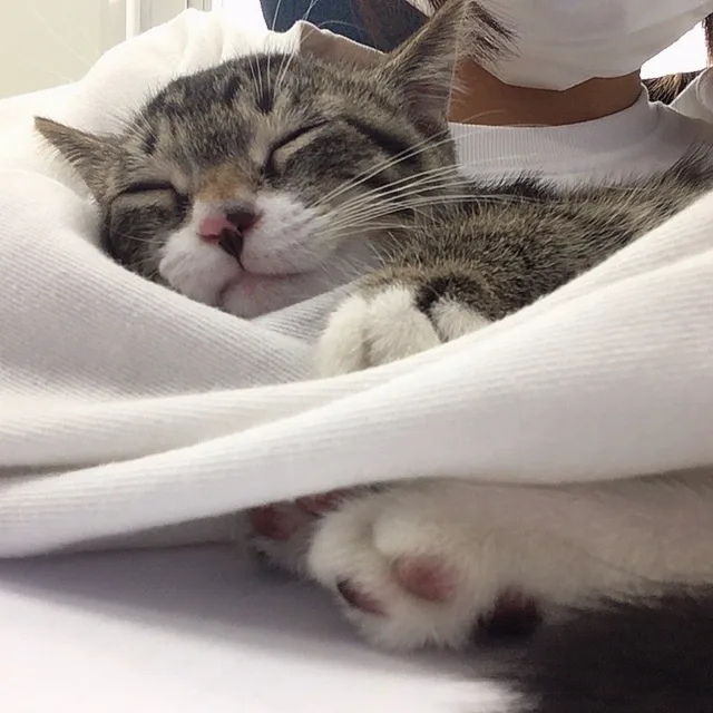 다압