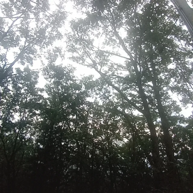 행복