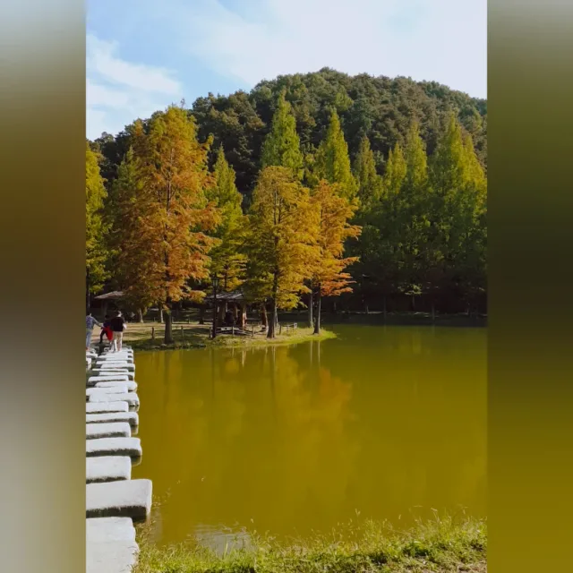 호수