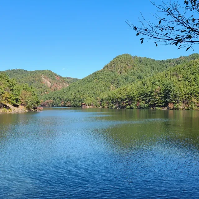 산에들에