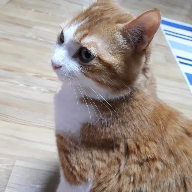 우기맘