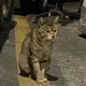안녕하세요
