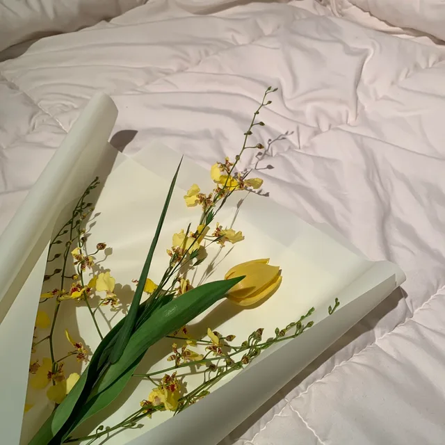 호순