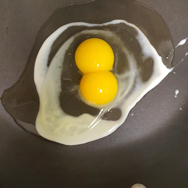 히히