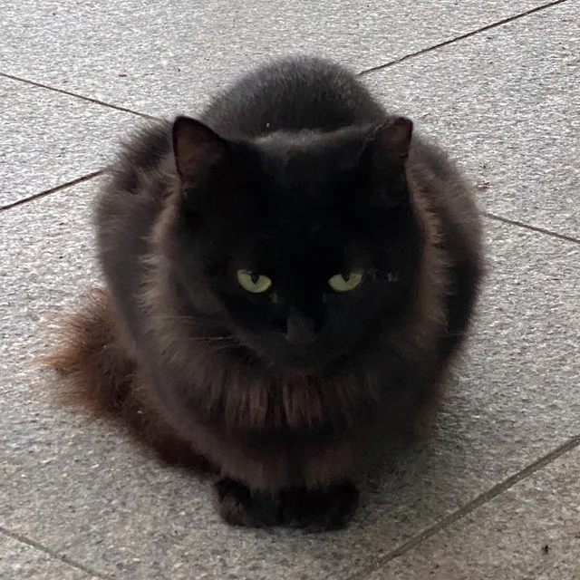 대담
