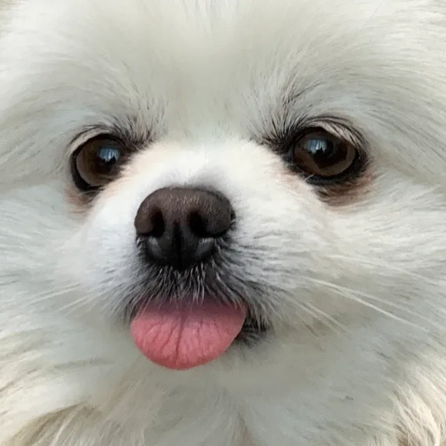 성공할어린이