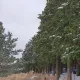 제주한라