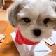 두코
