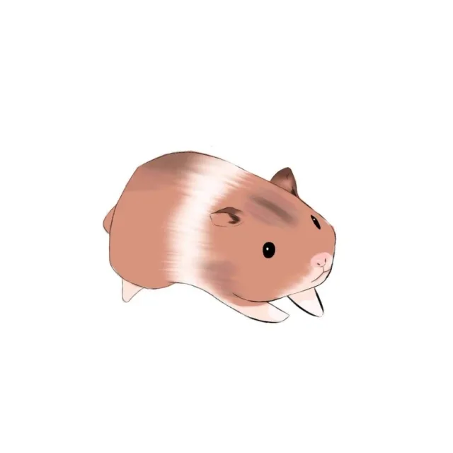 3344