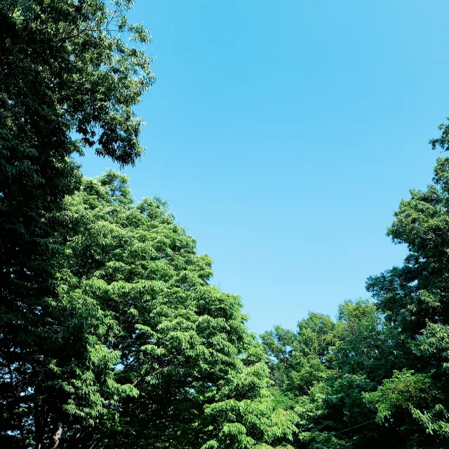 구름cloud