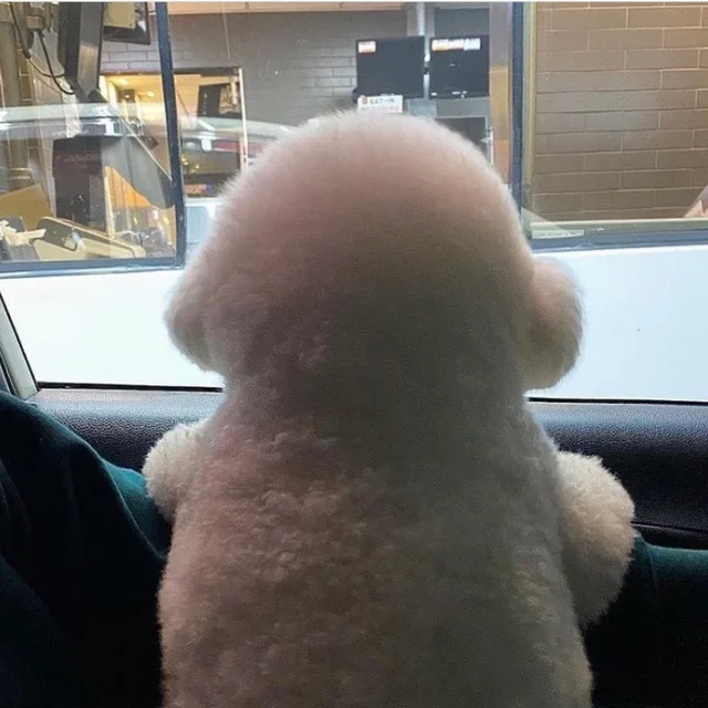 얼그레이