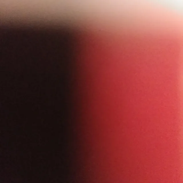 꽃사랑
