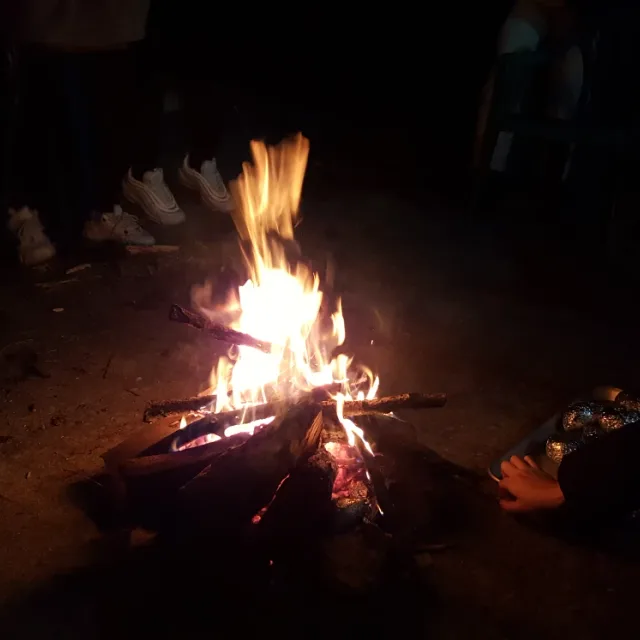 낙지