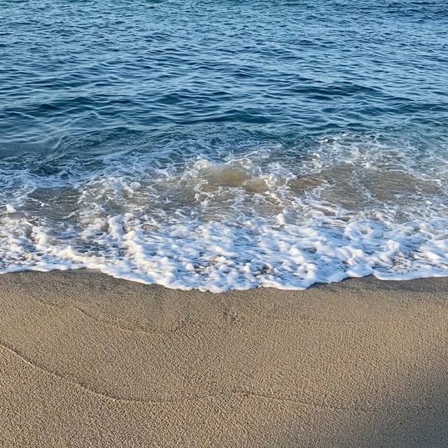 파랑새석호